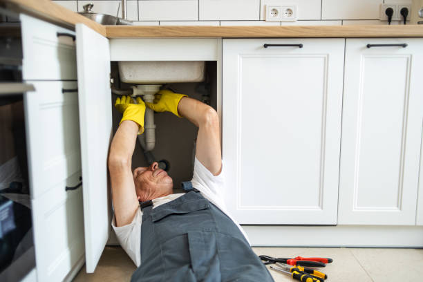 Best Clogged Drain Plumber  in Minnetrista, MN