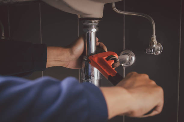 Best Commercial Plumbing Services  in Minnetrista, MN